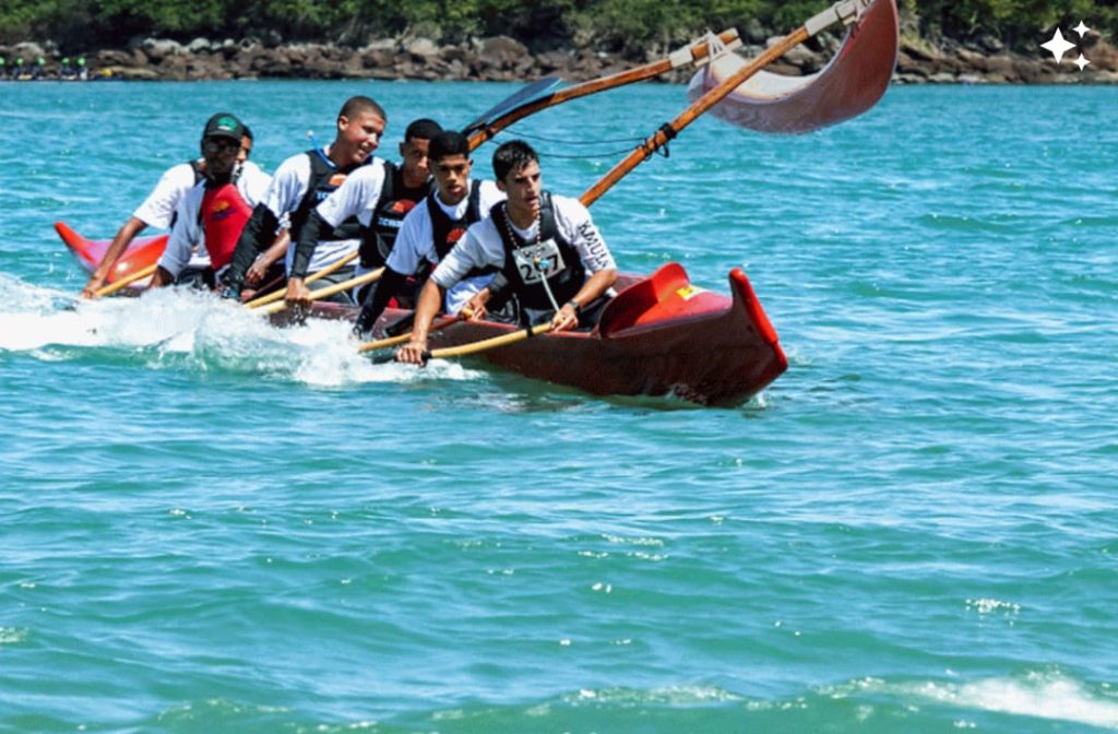 Instituto VAA para o mar precisa de ajuda