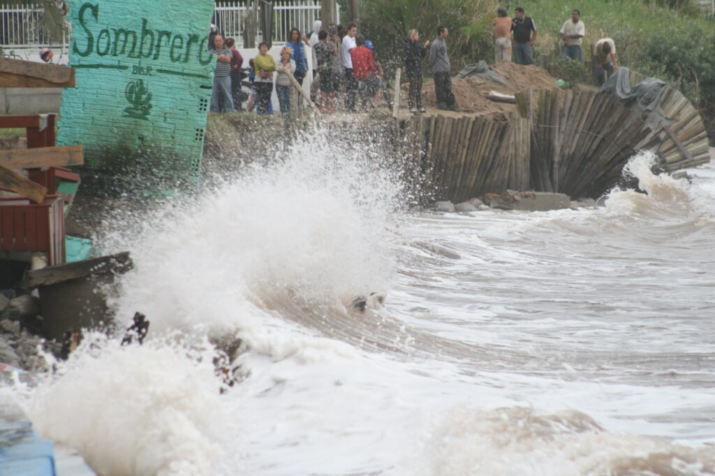 Swell Alerta Região